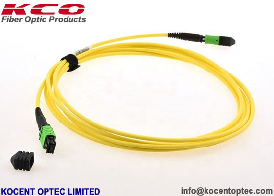 8cores 12cores 24cores LSZH Type A B C MPO MTP Patch Cord Single Mode MPO Fiber Patch Cable