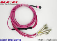 OM4 MPO MTP Patch Cord LC SC  Connector 8 12 24 Core  Pink Violet LSZH Cover